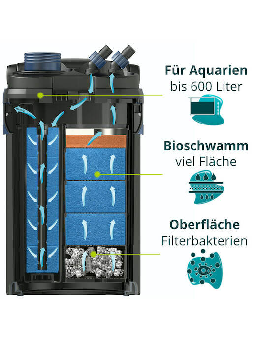 Oase BioMaster 600