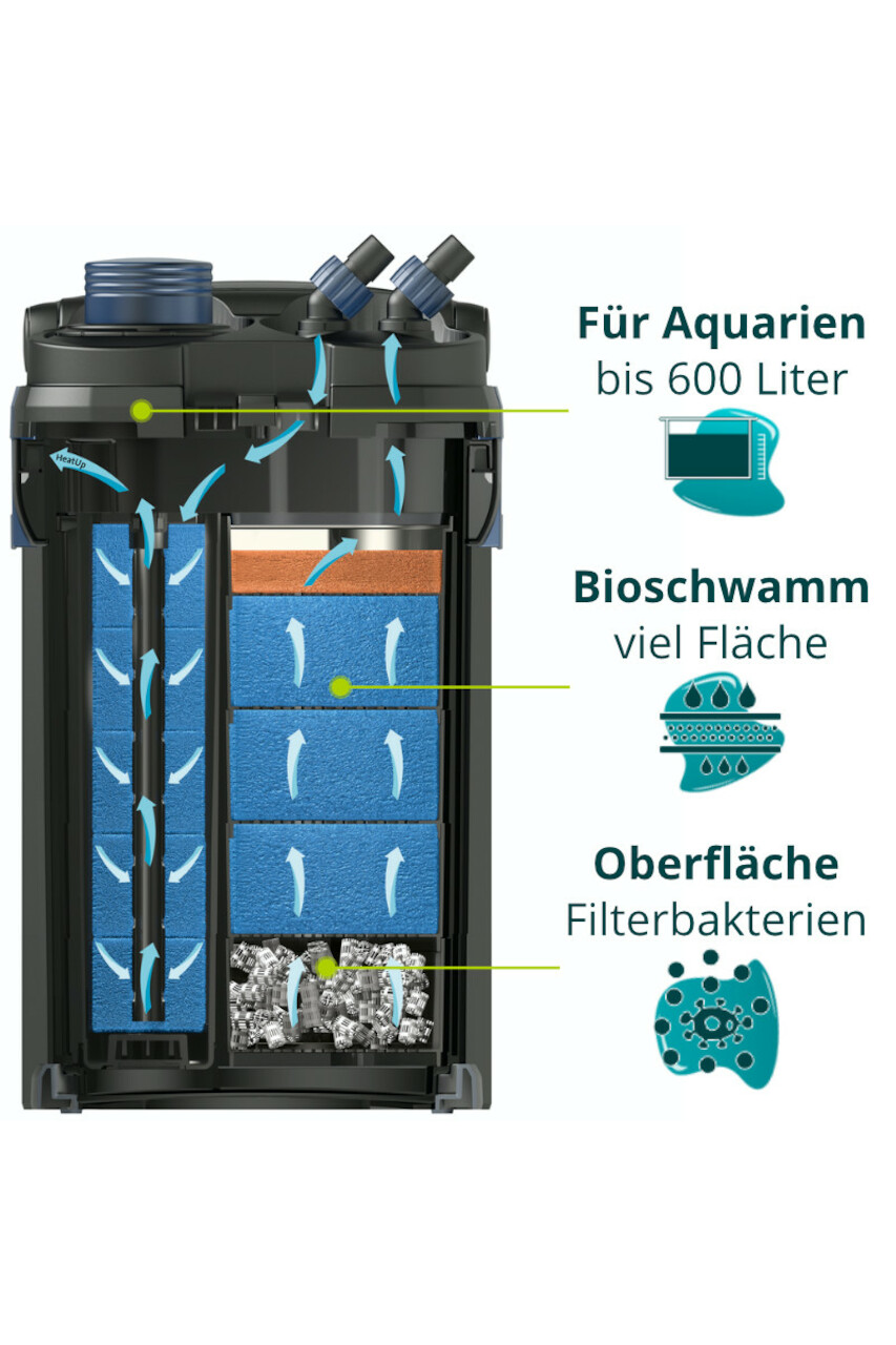 Oase BioMaster 600