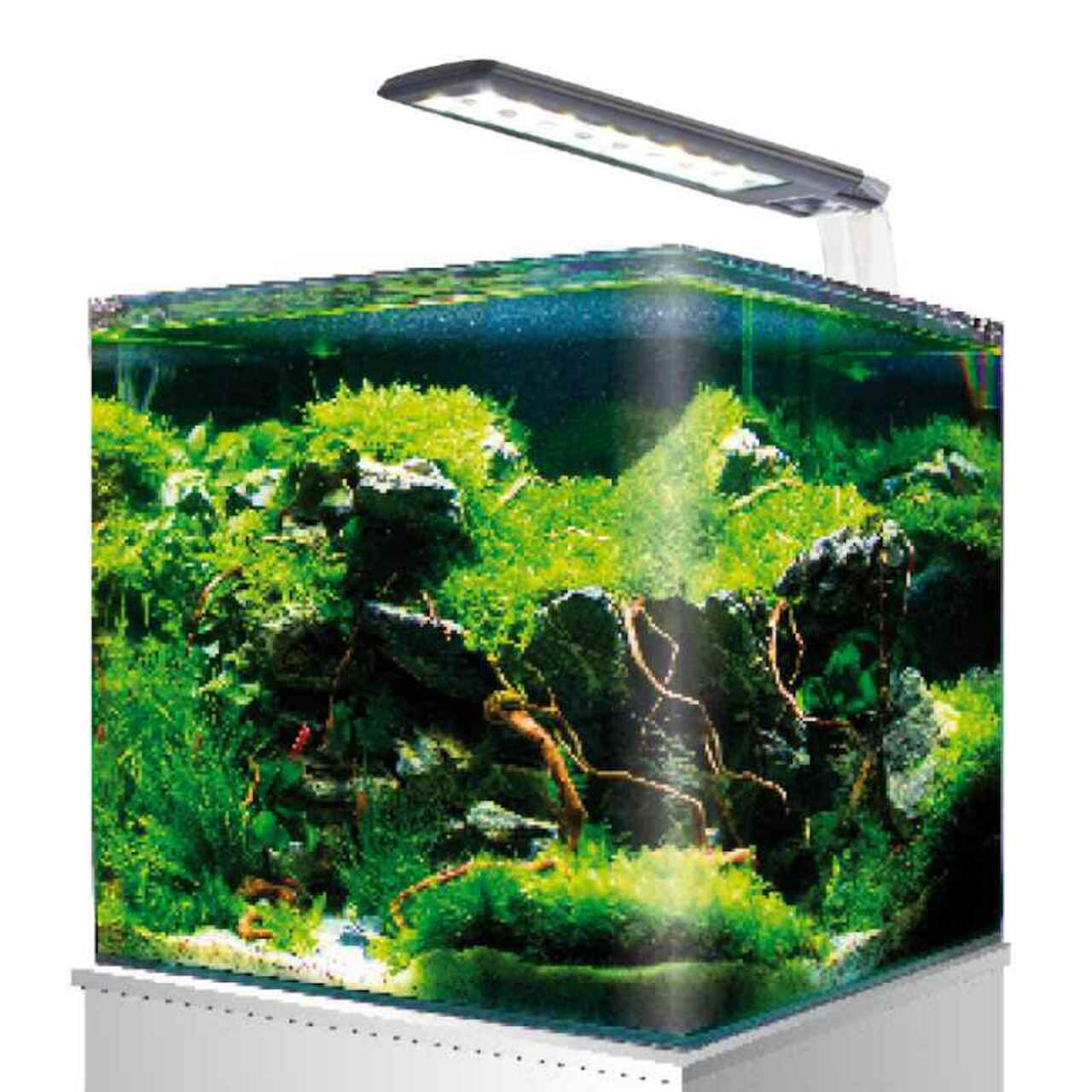 Amtra Nano Aquarium 60