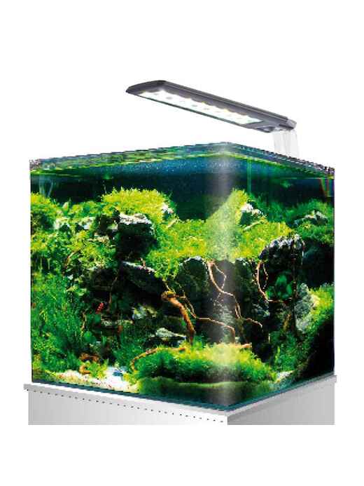 Amtra Nano Aquarium 60