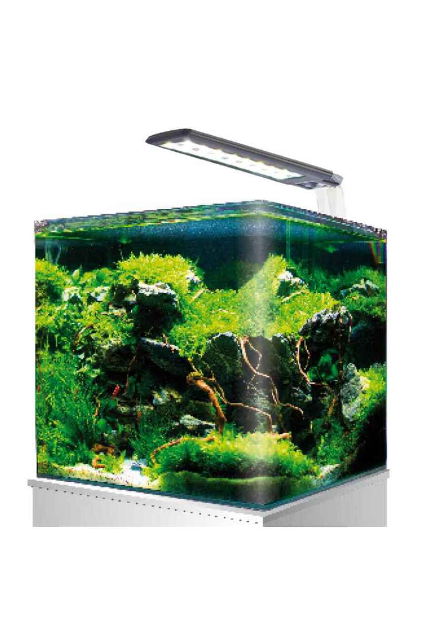 Amtra Nano Aquarium 60
