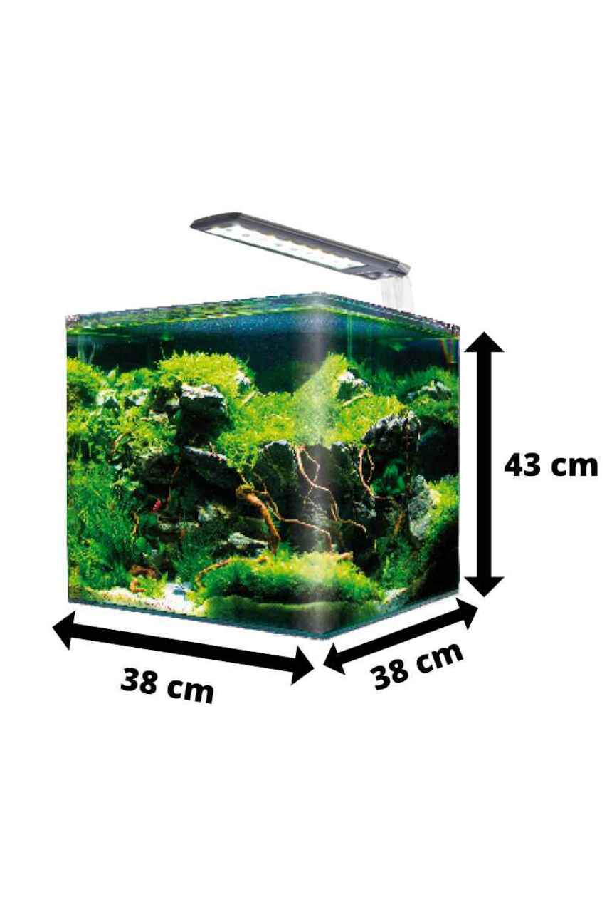 Amtra Nano Aquarium 60