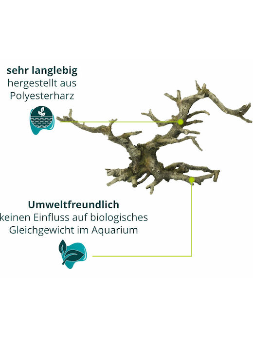 Aqua Della Bonsai