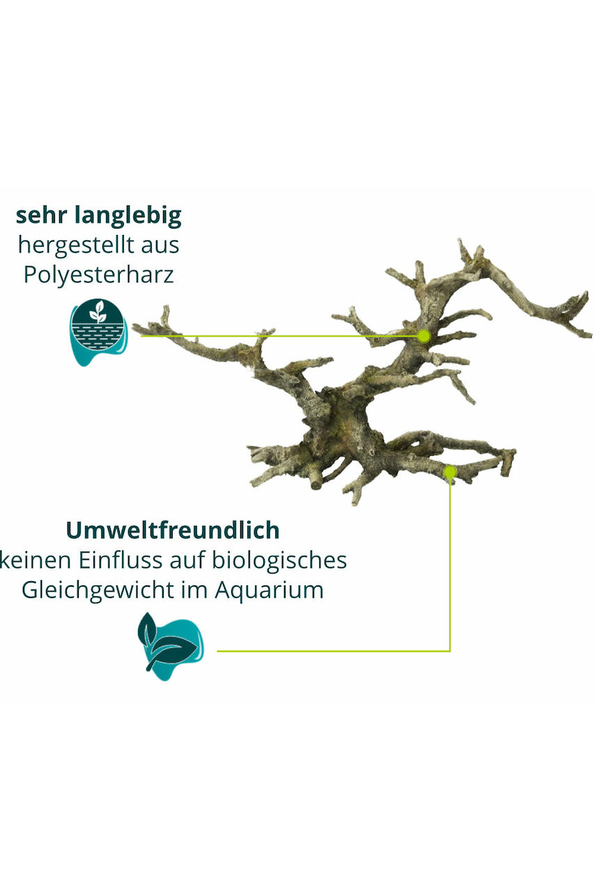 Aqua Della Bonsai