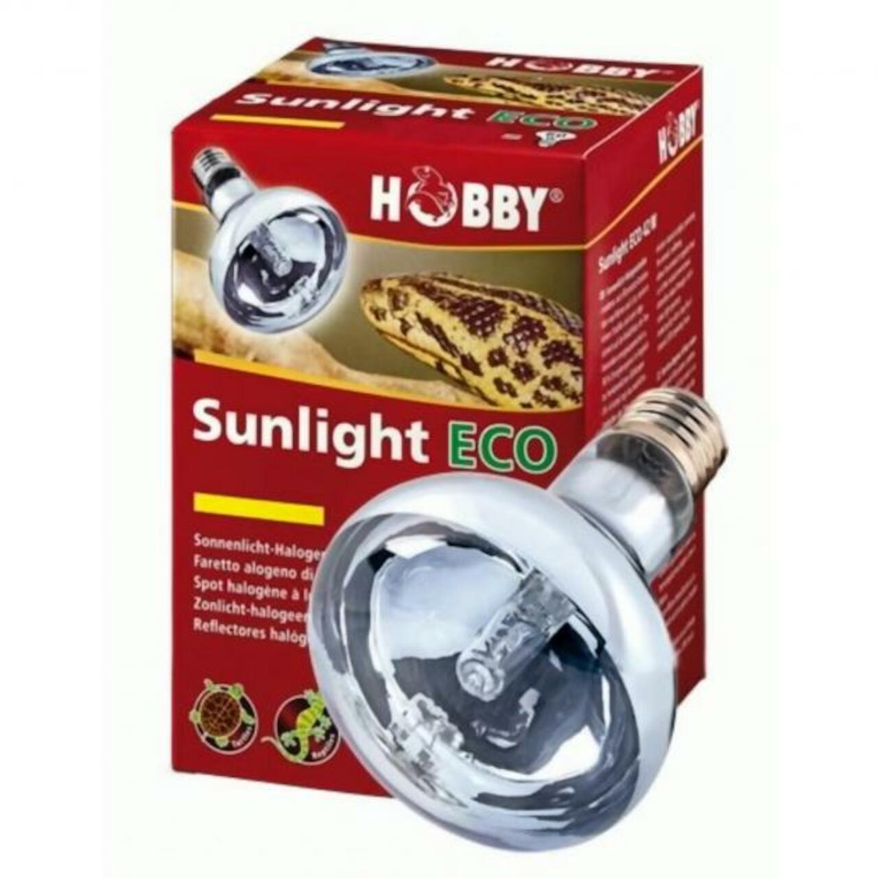 Hobby Sunlight Eco 42 W