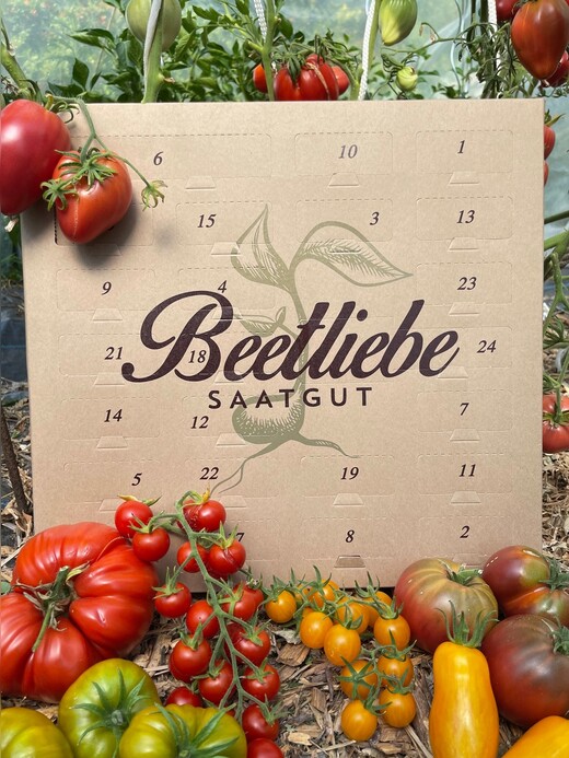 BIO-Tomatensamen Adventskalender [B-Ware] alte & seltene Tomaten
