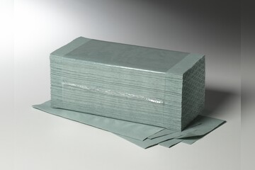 Fripa Papier Handtücher Grün Plus 20 x 250 Stück 