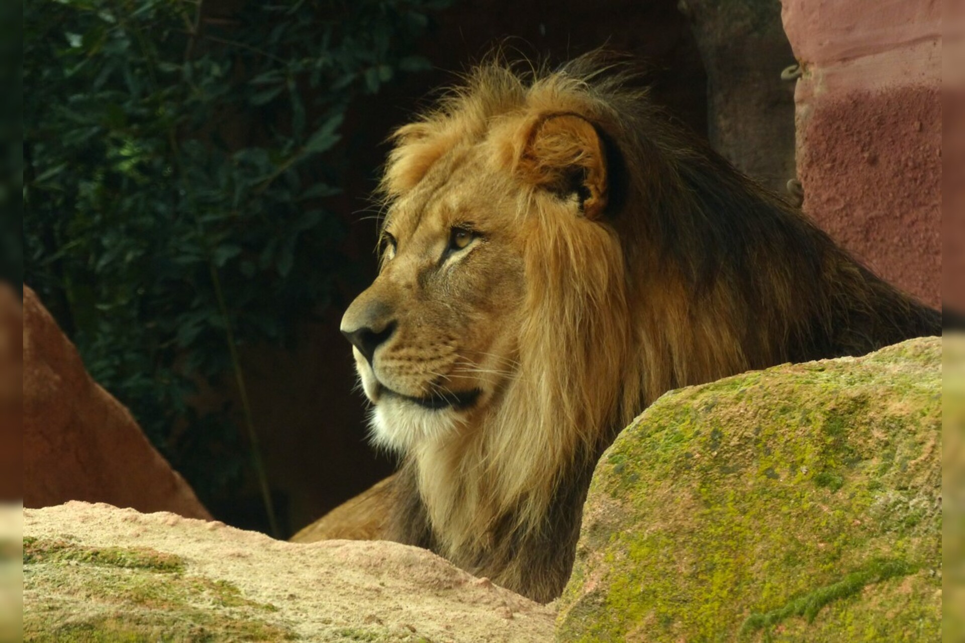 Fotokurs mit Fototour: Erlebnis-Zoo