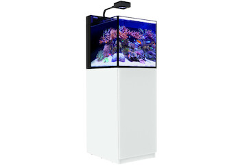 Red Sea Max Nano Peninsula G2 weiss