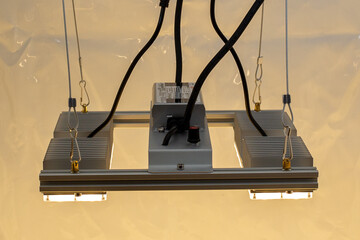 Monster M2 LED-Grow-Lampe (V3.5, dimmbar)