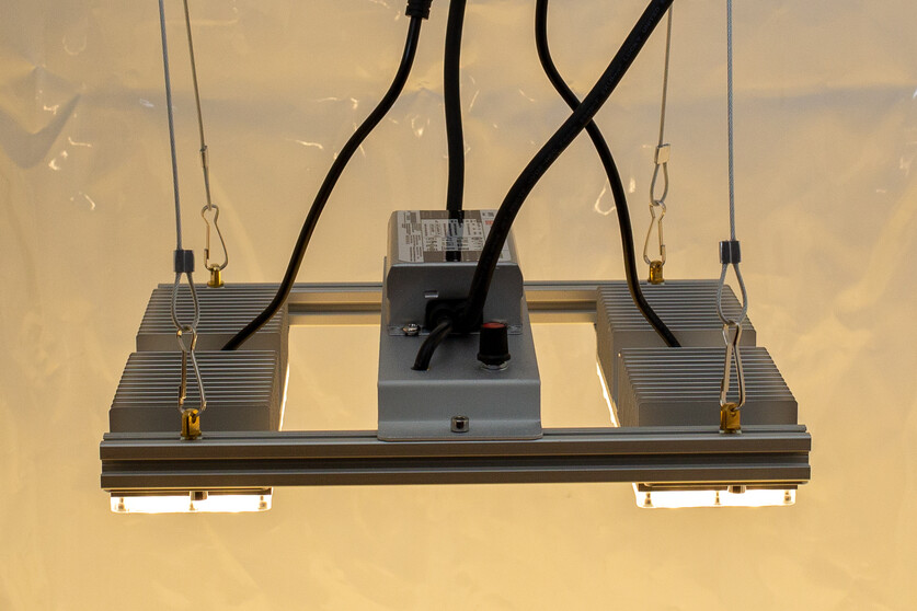 Monster M2 LED-Grow-Lampe (V3.5, dimmbar)