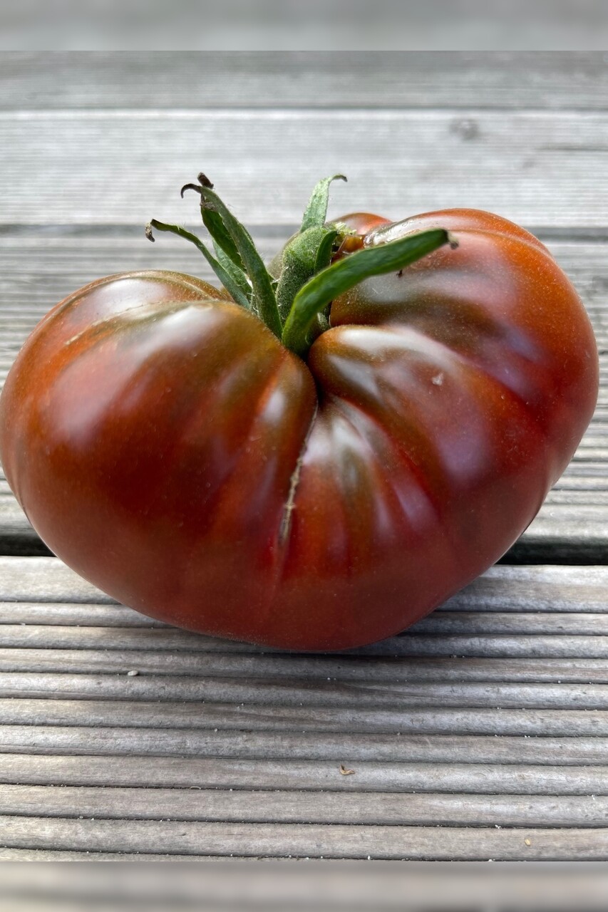 Tomate "Tschernij Prinz" - BIO-Tomatensorte [samenfest]