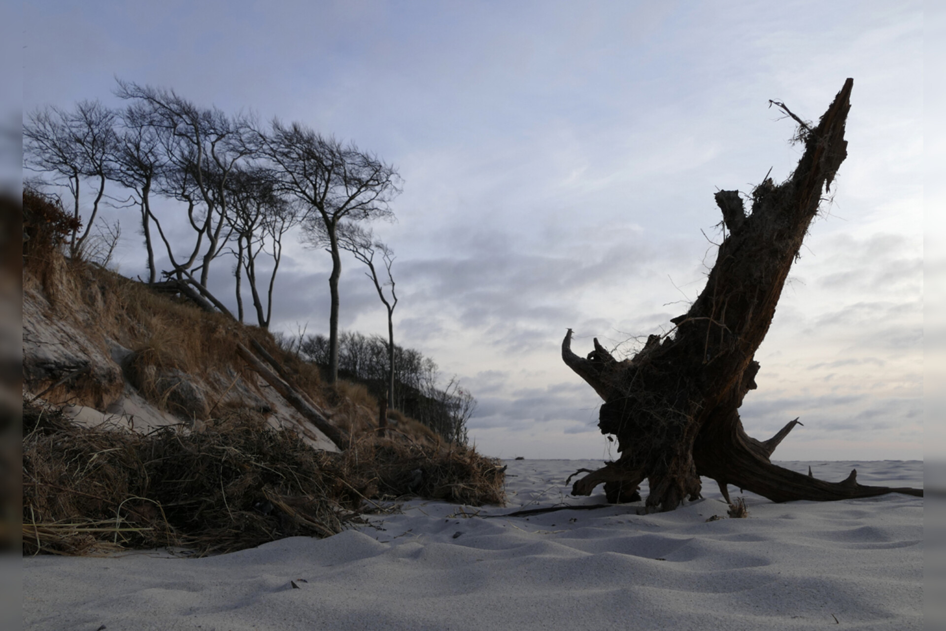 Fotokurs mit Fototour: Nationalpark Zingst