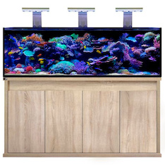 D-D Reef-Pro 1800 PLATINUM OAK -  Aquariumsystem