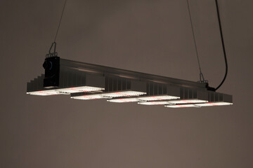 SANlight 1.5 Vollspektrum LED