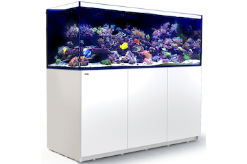 Red Sea Reefer 750 G2+ weiss