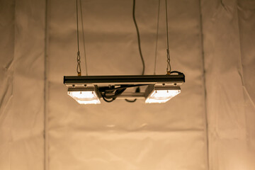 Monster M2 100W LED-Pflanzenlampe (v 3.1, dimmbar)