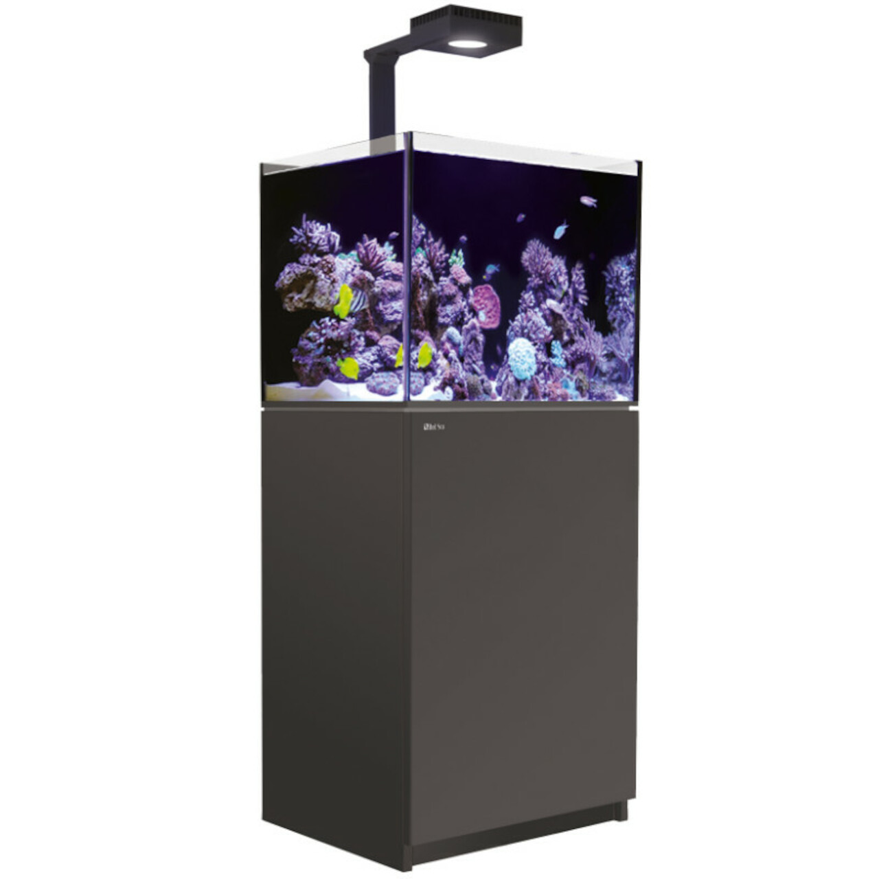 Red Sea Reefer 170 G2+ Deluxe schwarz