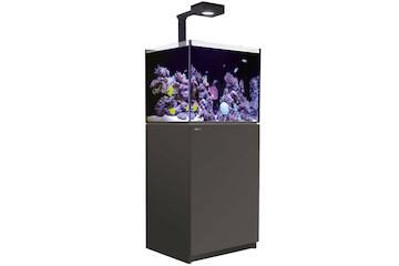 Red Sea Reefer 200 G2+ Deluxe schwarz