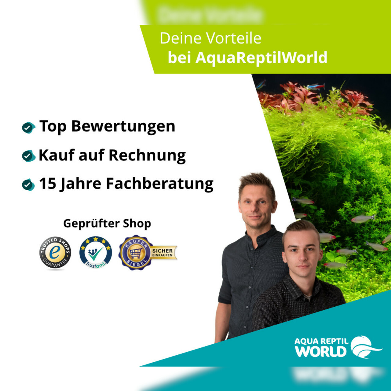Oase Vorfilterschaum Set 6