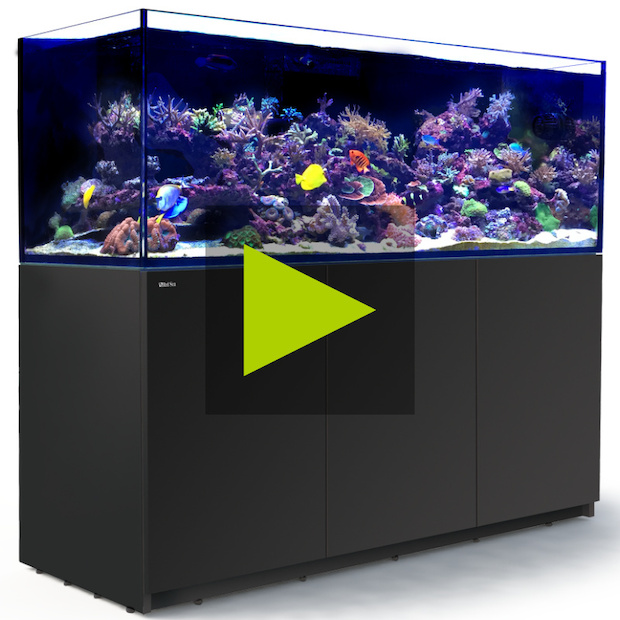 Red Sea Reefer 750 G2+ schwarz