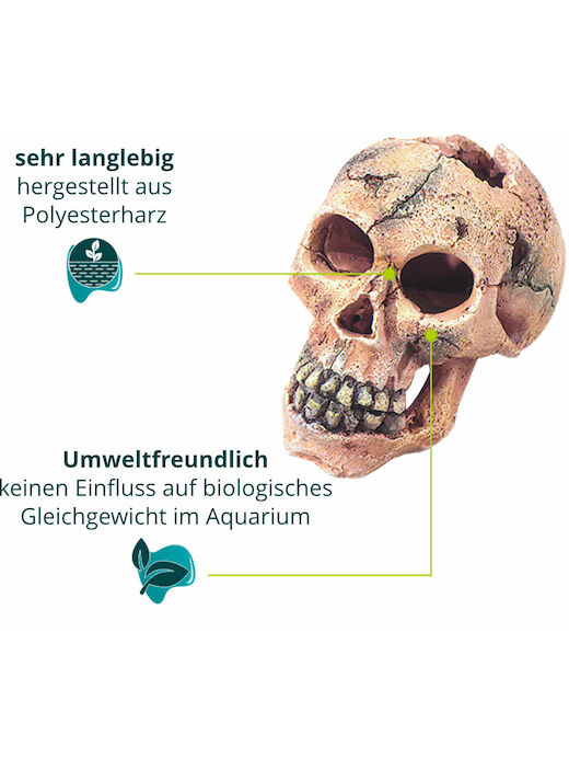 Aqua Della Skull S