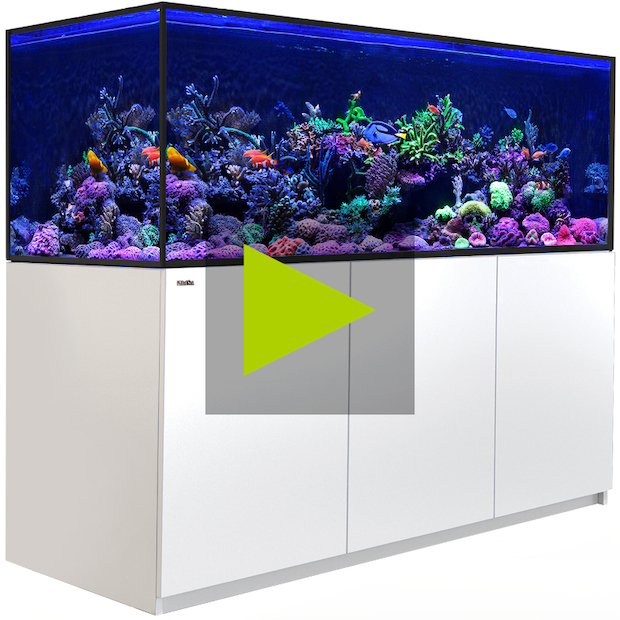 Red Sea Reefer-S 850 G2+ MAX