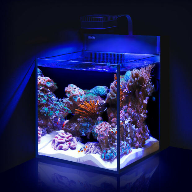 Red Sea Max Nano Peninsula Aquarium