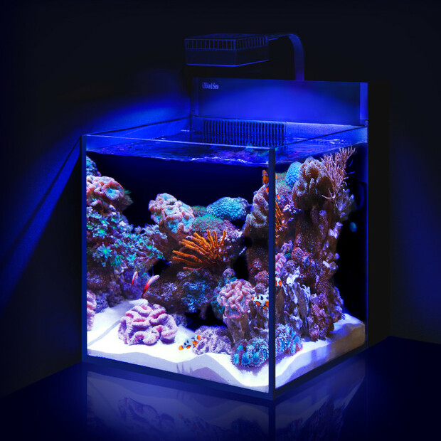 Red Sea Max Nano Peninsula G2 schwarz