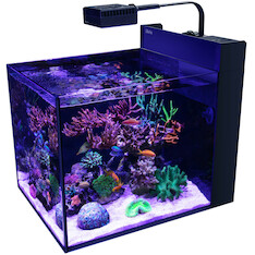 Red Sea Max Nano Peninsula G2 Aquarium