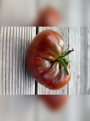 Tomate
