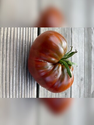 Tomate