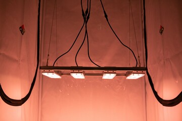 Mirage 240W LED-Pflanzenlicht Set