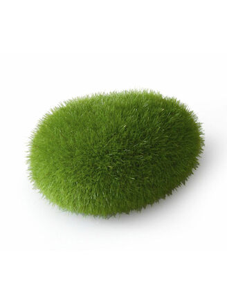 Aqua Della Moos Ball S