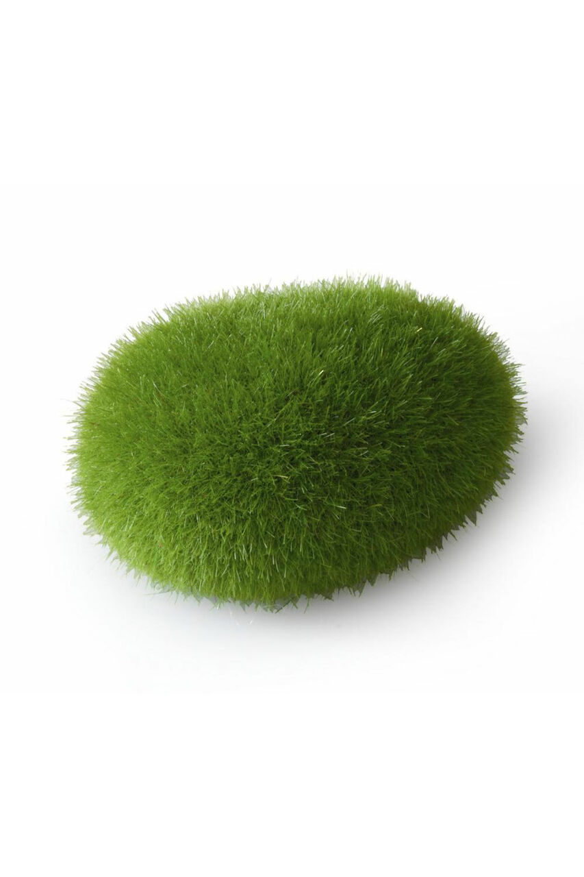 Aqua Della Moos Ball S