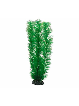 Hobby Egeria