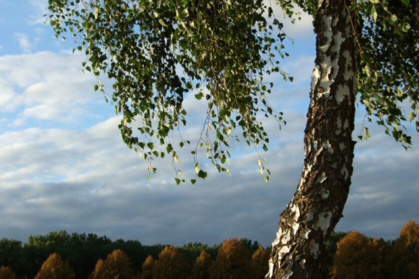 Fotokurs mit Fototour: Steverauen-Fahrrad-Tour