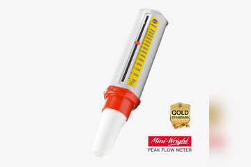 Peak-Flow-Meter Mini-Wright