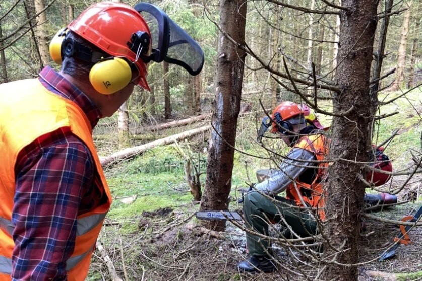 Motorsägenkurs AS Baum 1