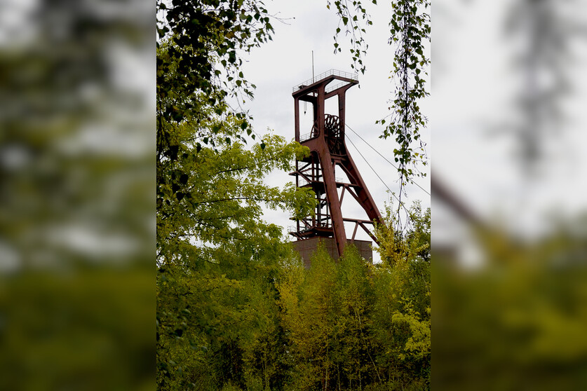 Fotokurs mit Fototour: Zeche Zollverein