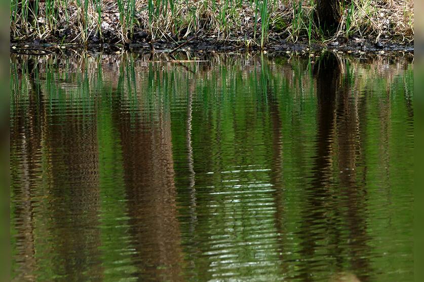 Fotokurs mit Fototour: Maximilianpark