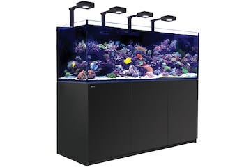 Red Sea Reefer 750 G2+ Deluxe schwarz