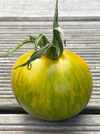 Tomate "Green Zebra" - BIO-Tomatensorte [samenfest]