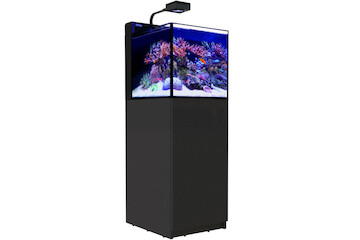 Red Sea Max Nano Peninsula G2 schwarz