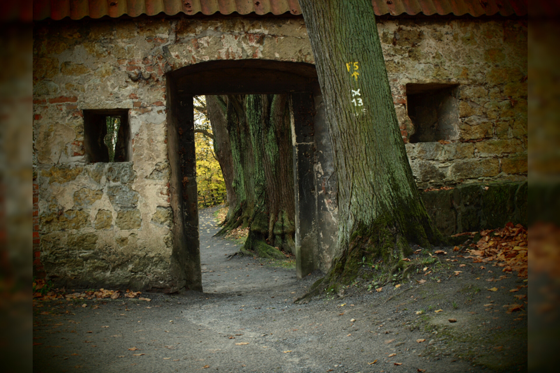 Fotokurs mit Fototour: Burg Vischering