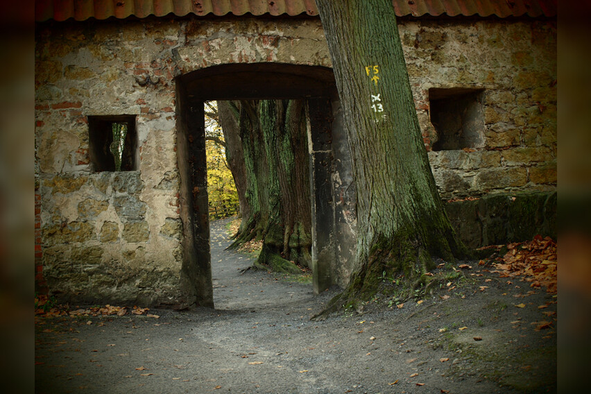Fotokurs mit Fototour: Burg Vischering