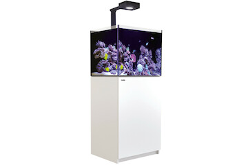 Red Sea Reefer 200 G2+ Deluxe weiss