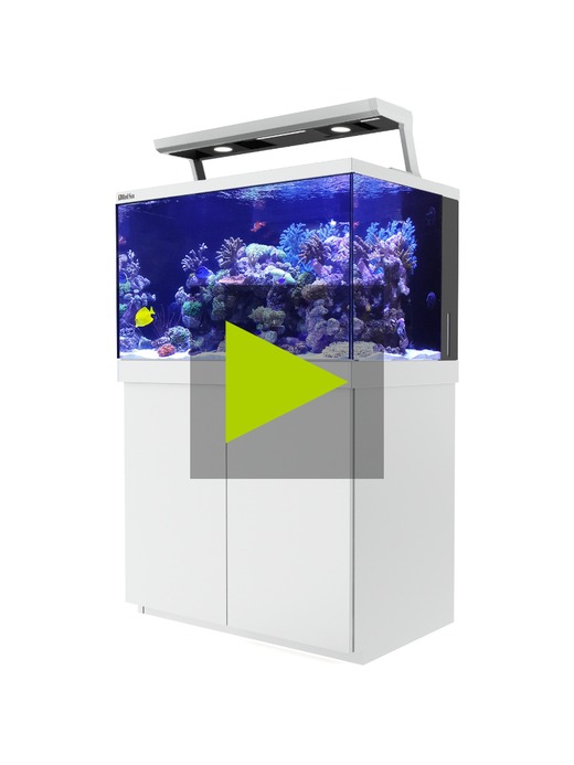 Red Sea Max S 400 weis [Meerwasseraquarium] 4359,00€