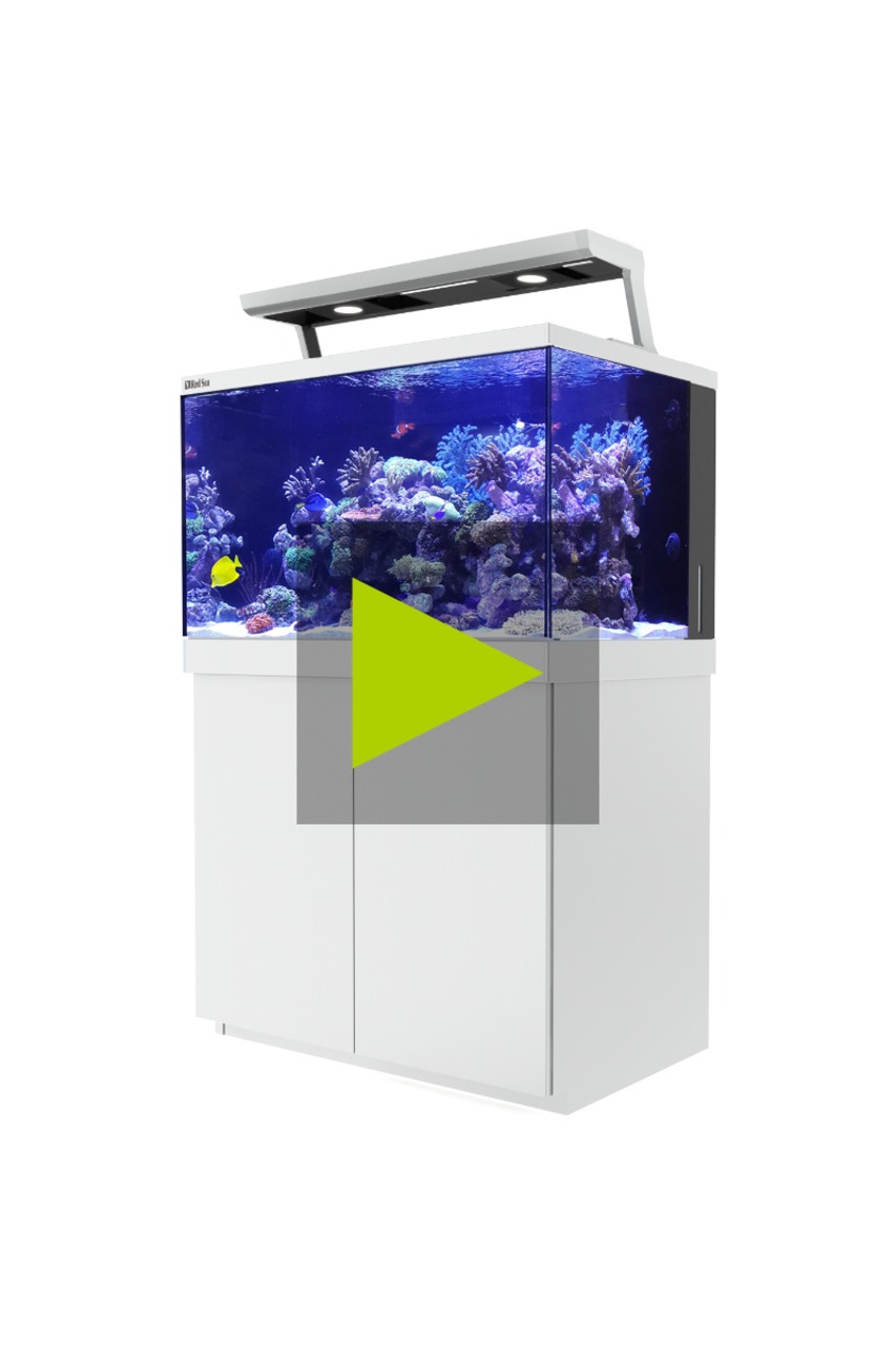Red Sea Max S 400 weis [Meerwasseraquarium] 4359,00€