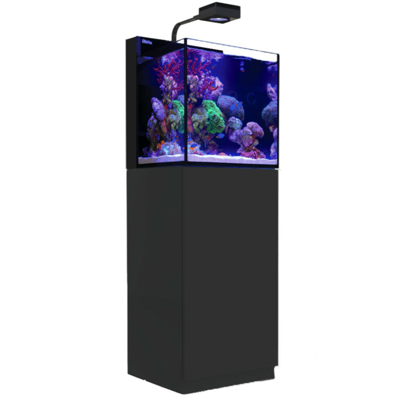 Red Sea Max Nano Cube G2 schwarz